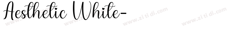Aesthetic White字体转换